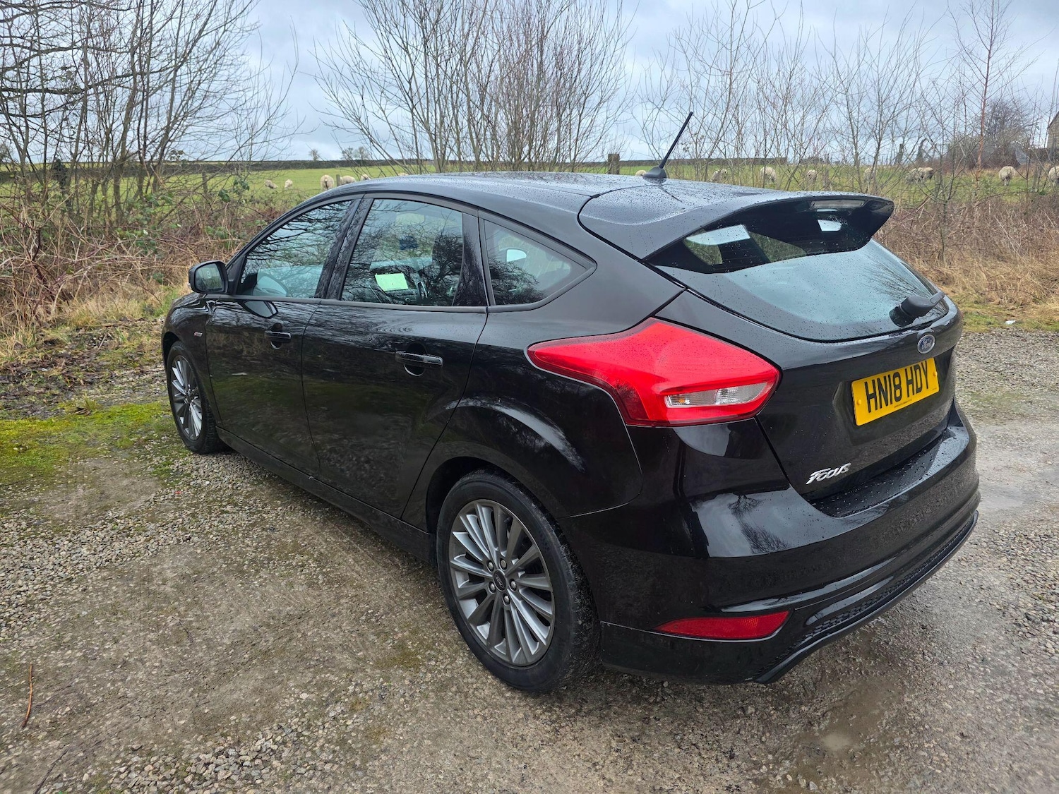 Used Ford Focus for sale - 77537467: Photo 5