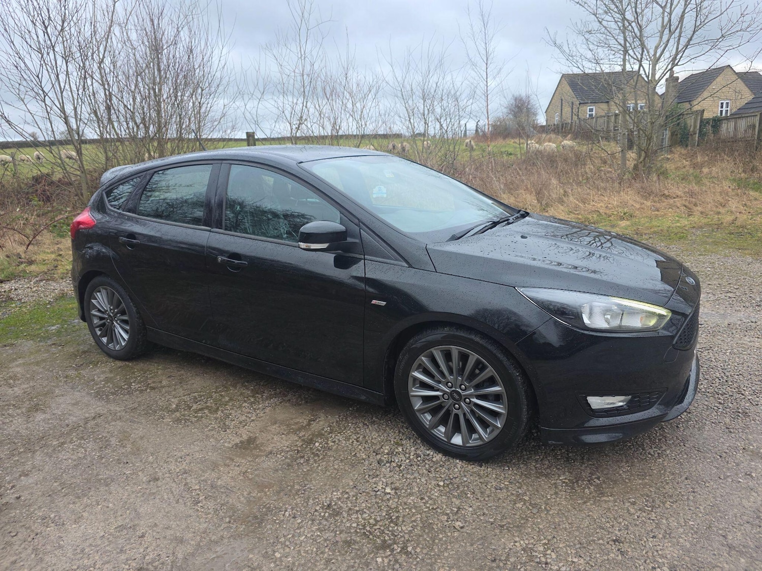 Used Ford Focus for sale - 77537467: Photo 8