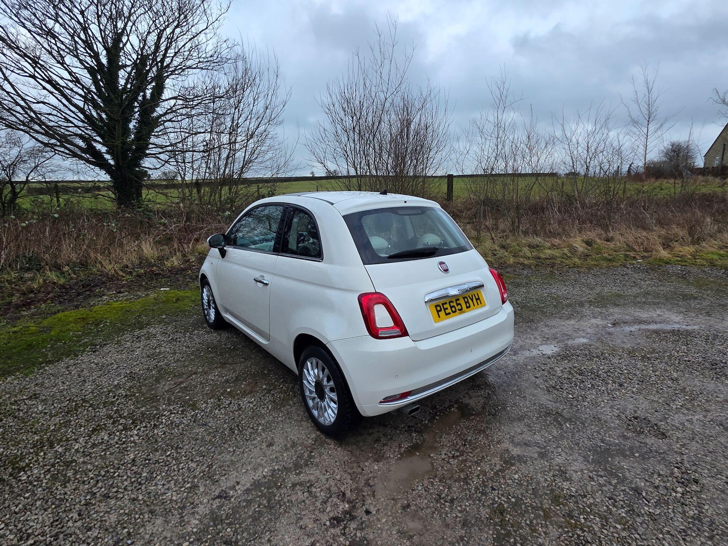 Used Fiat 500 2015 for sale - 77305177: Photo 5