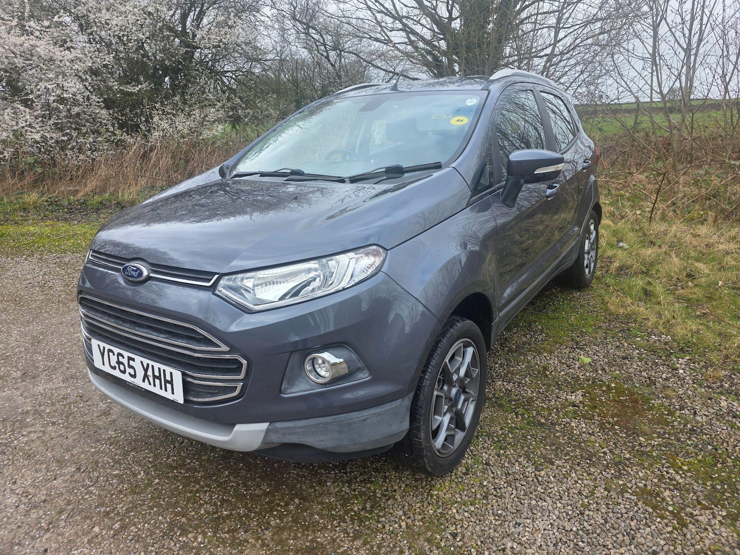 Used Ford Ecosport 2015 for sale - 77908791: Photo 3