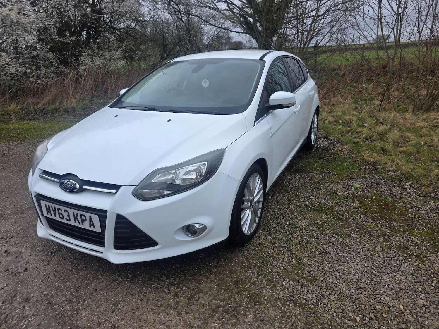 Used Ford Focus 2013 for sale - 77882608: Photo 3