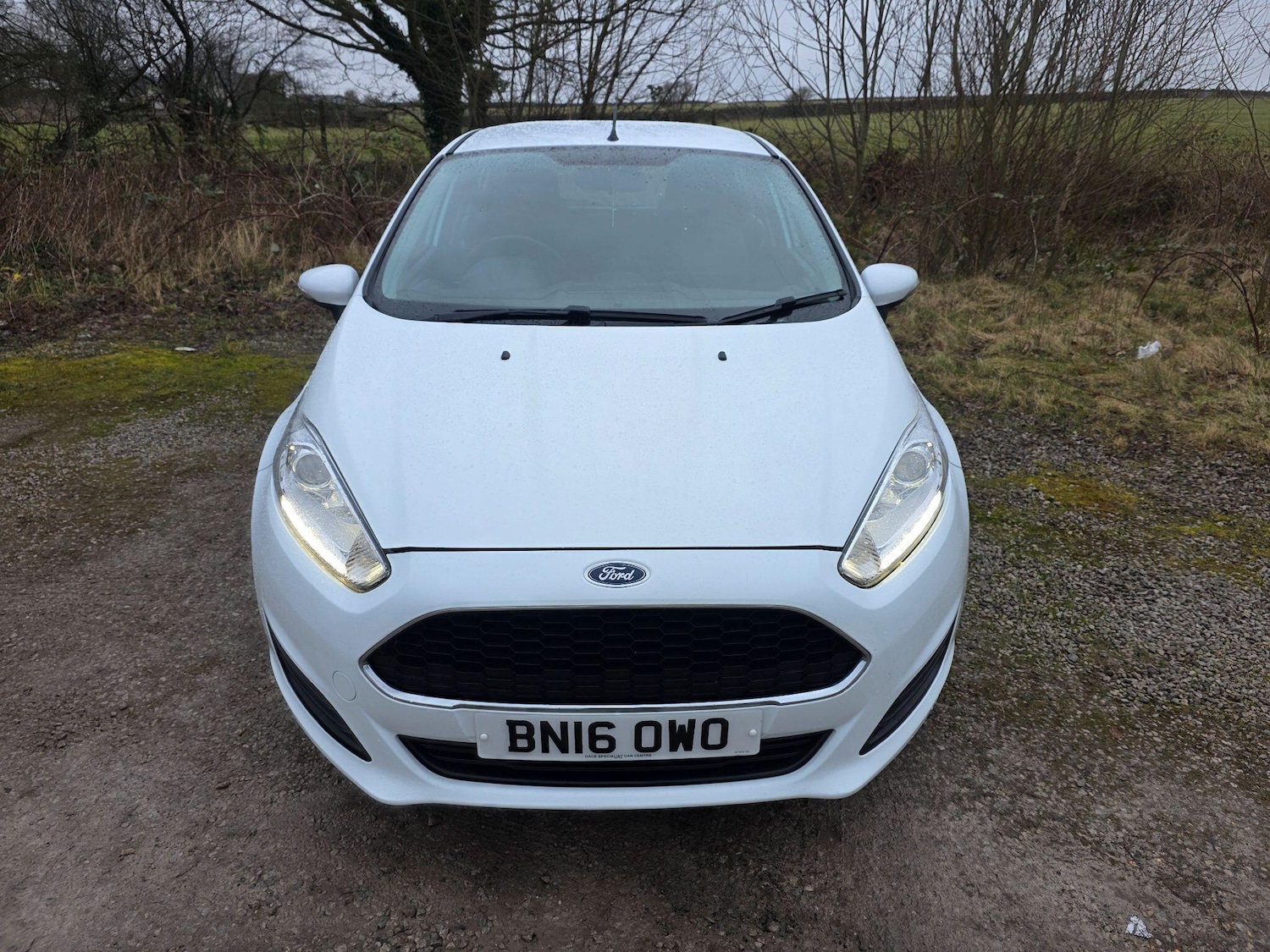 Used Ford Fiesta 2016 for sale - 77612705: Photo 2