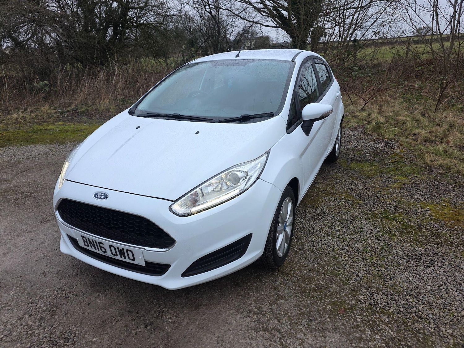 Used Ford Fiesta 2016 for sale - 77612705: Photo 3