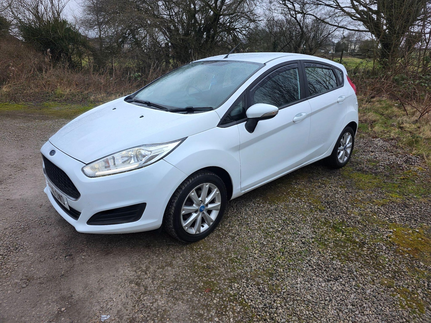Used Ford Fiesta 2016 for sale - 77612705: Photo 4