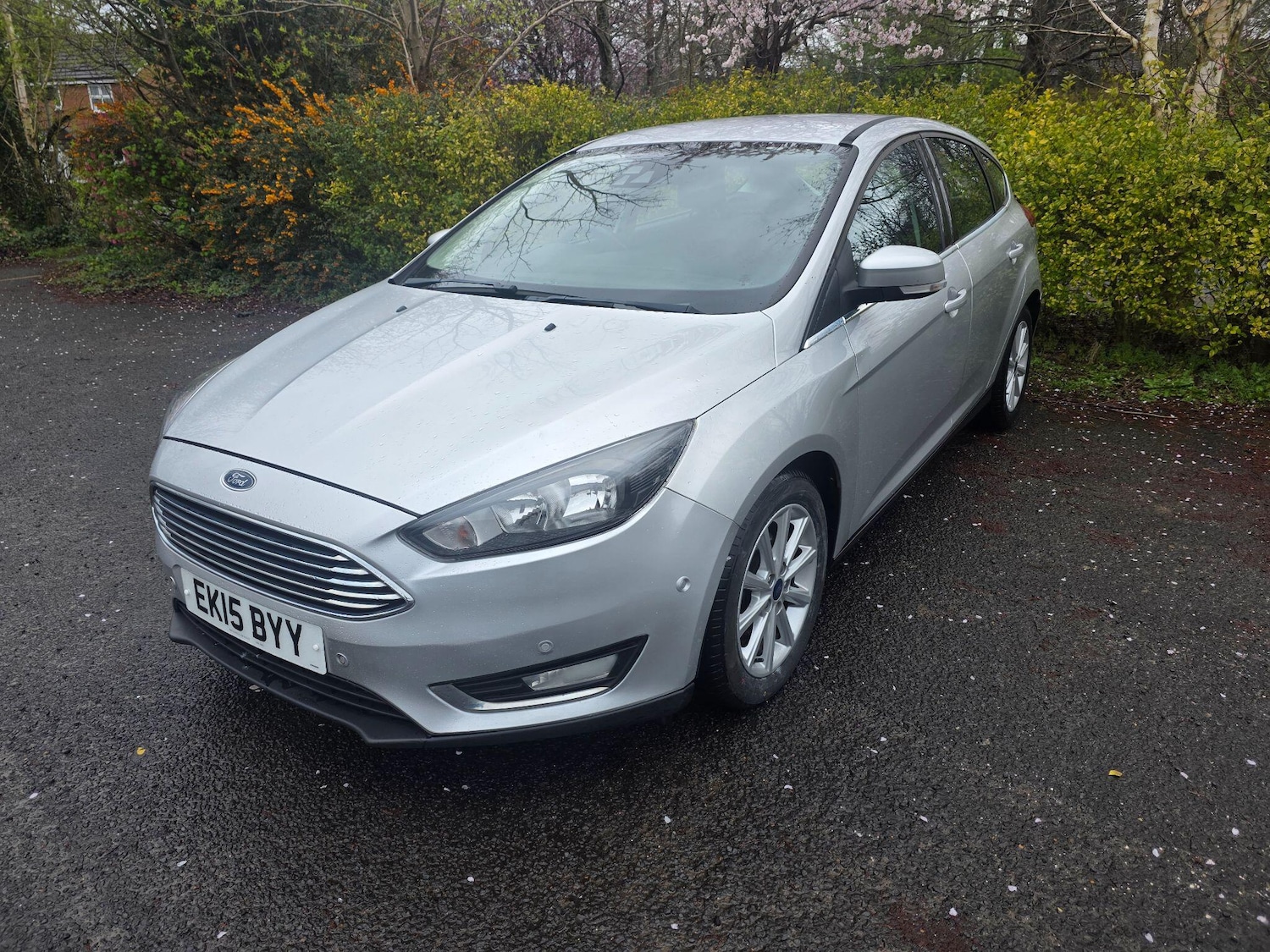 Used Ford Focus 2015 for sale - 78006931: Photo 3