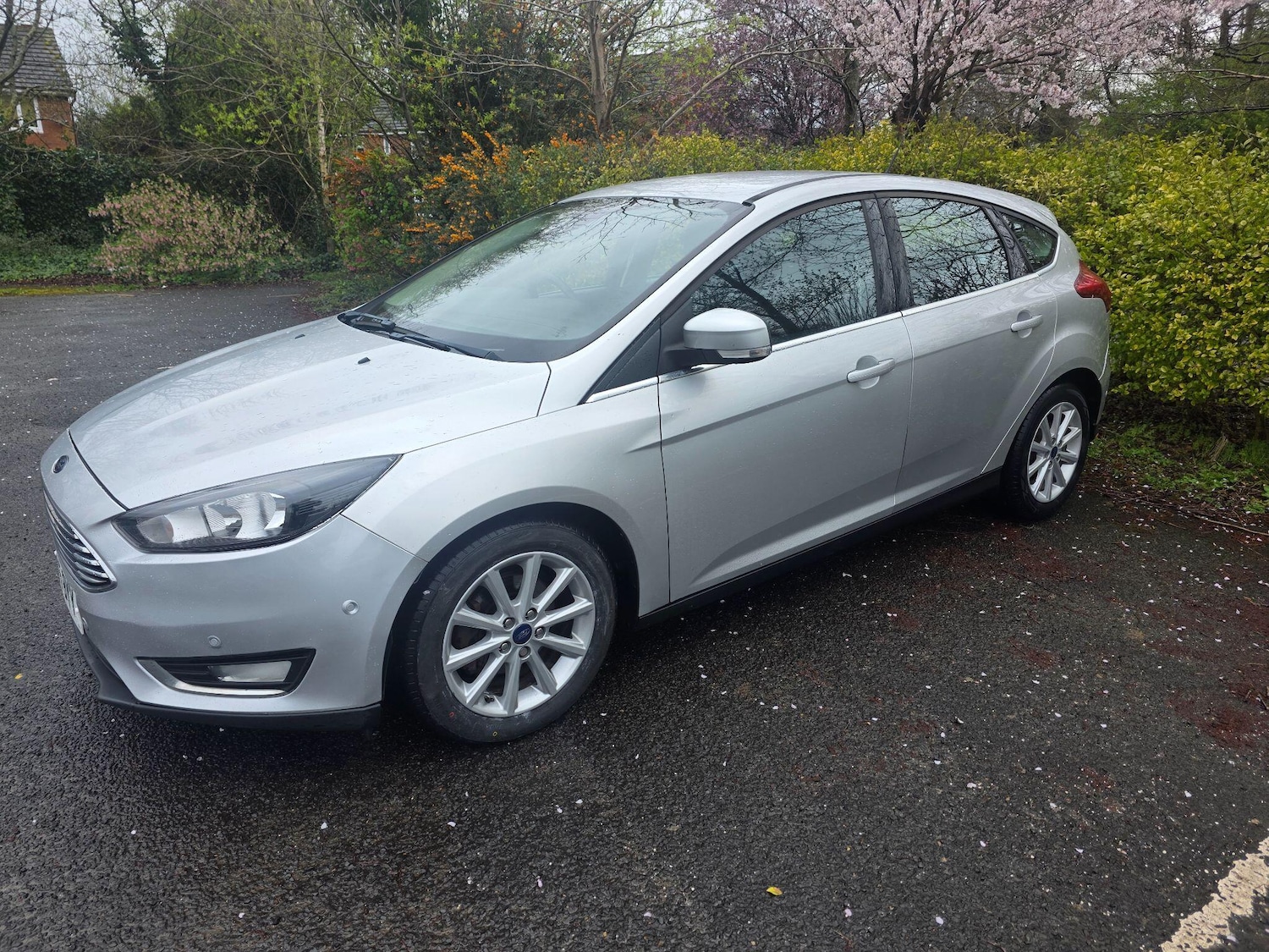Used Ford Focus 2015 for sale - 78006931: Photo 4