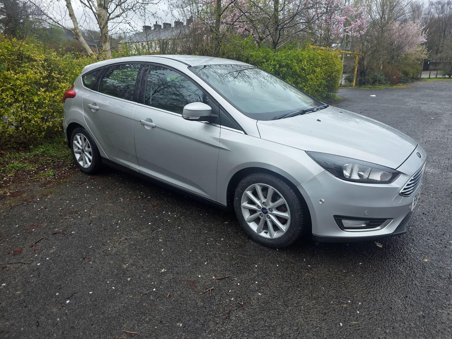Used Ford Focus 2015 for sale - 78006931: Photo 8