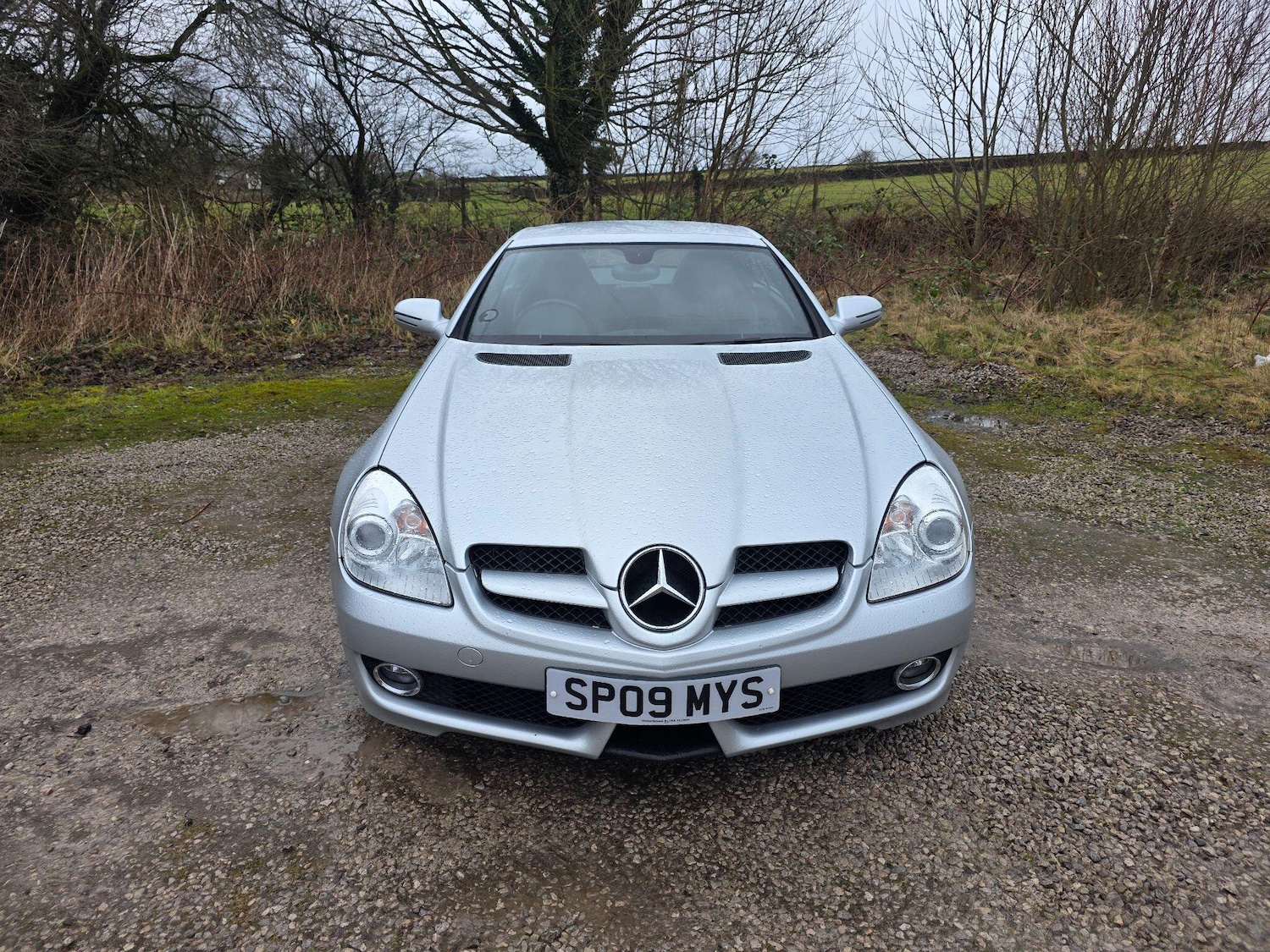 Used Mercedes-Benz SLK 2009 for sale - 77537471: Photo 2