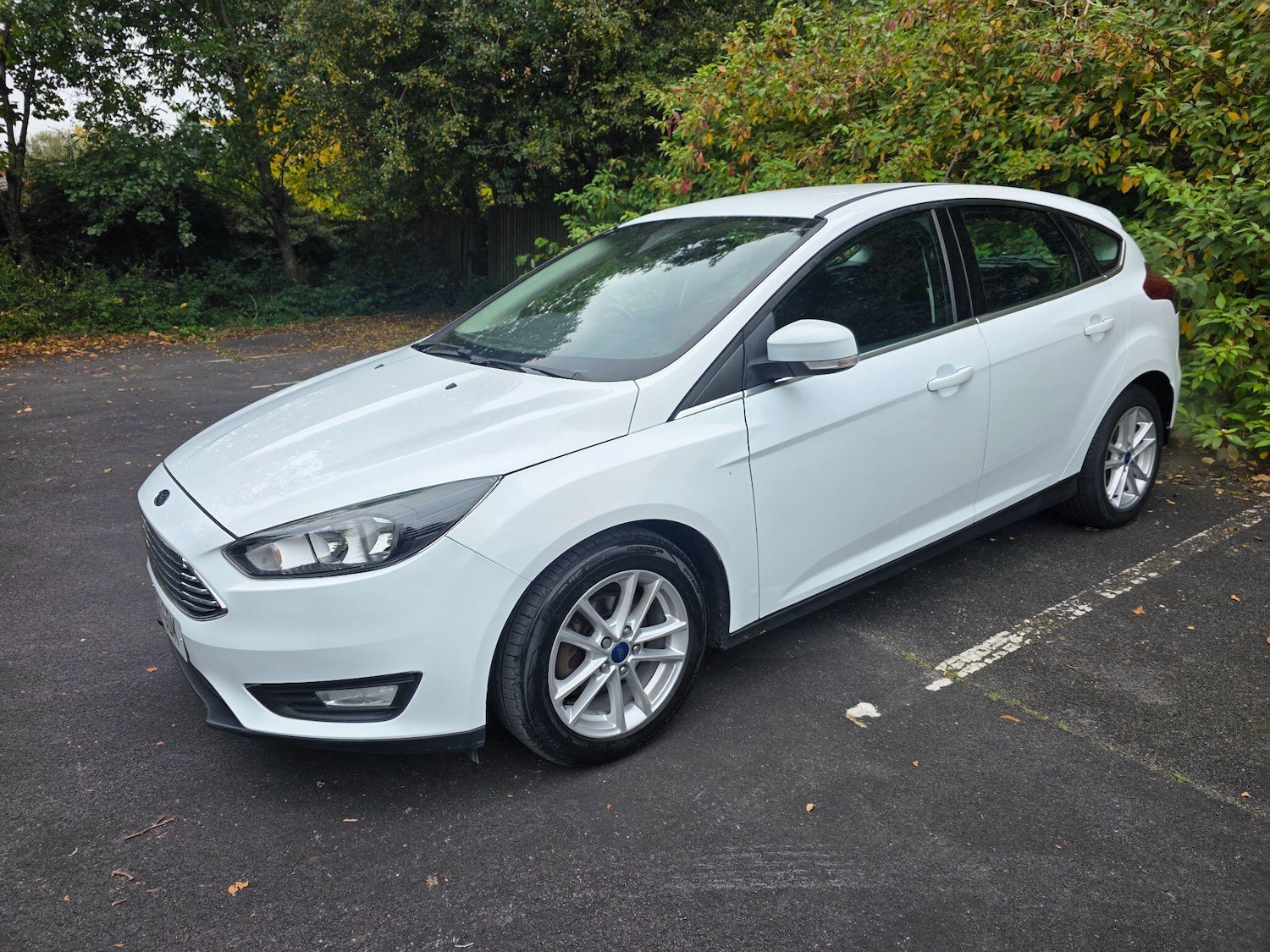 Used Ford Focus 2016 for sale - 76306151: Photo 4