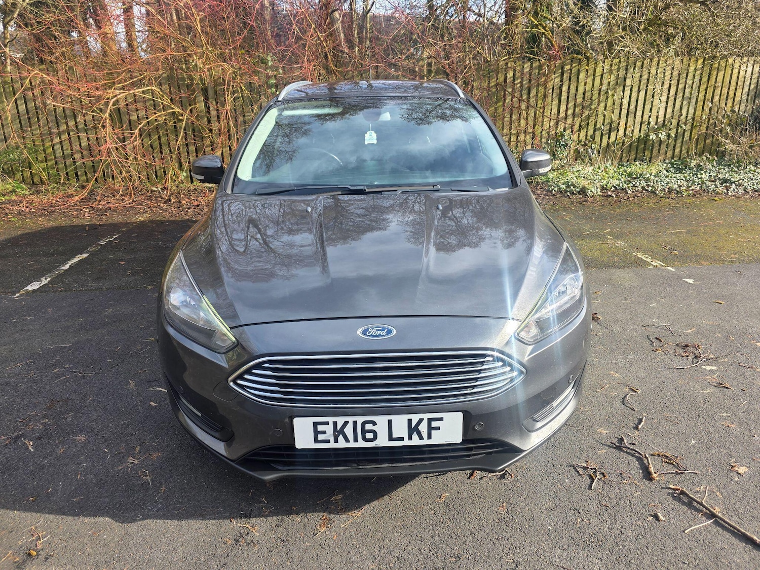 Used Ford Focus for sale - 77657793: Photo 2