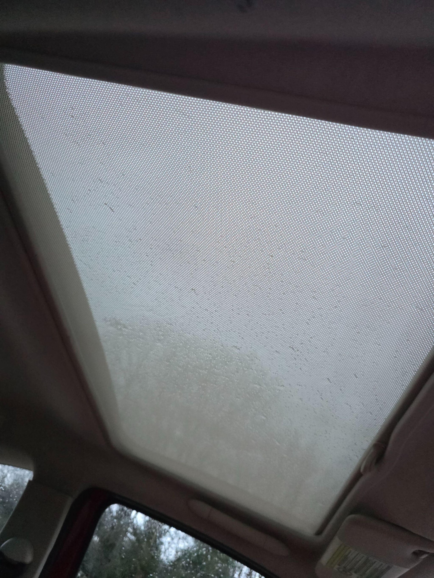 Used Fiat 500 2013 for sale - 76952976: Photo 13