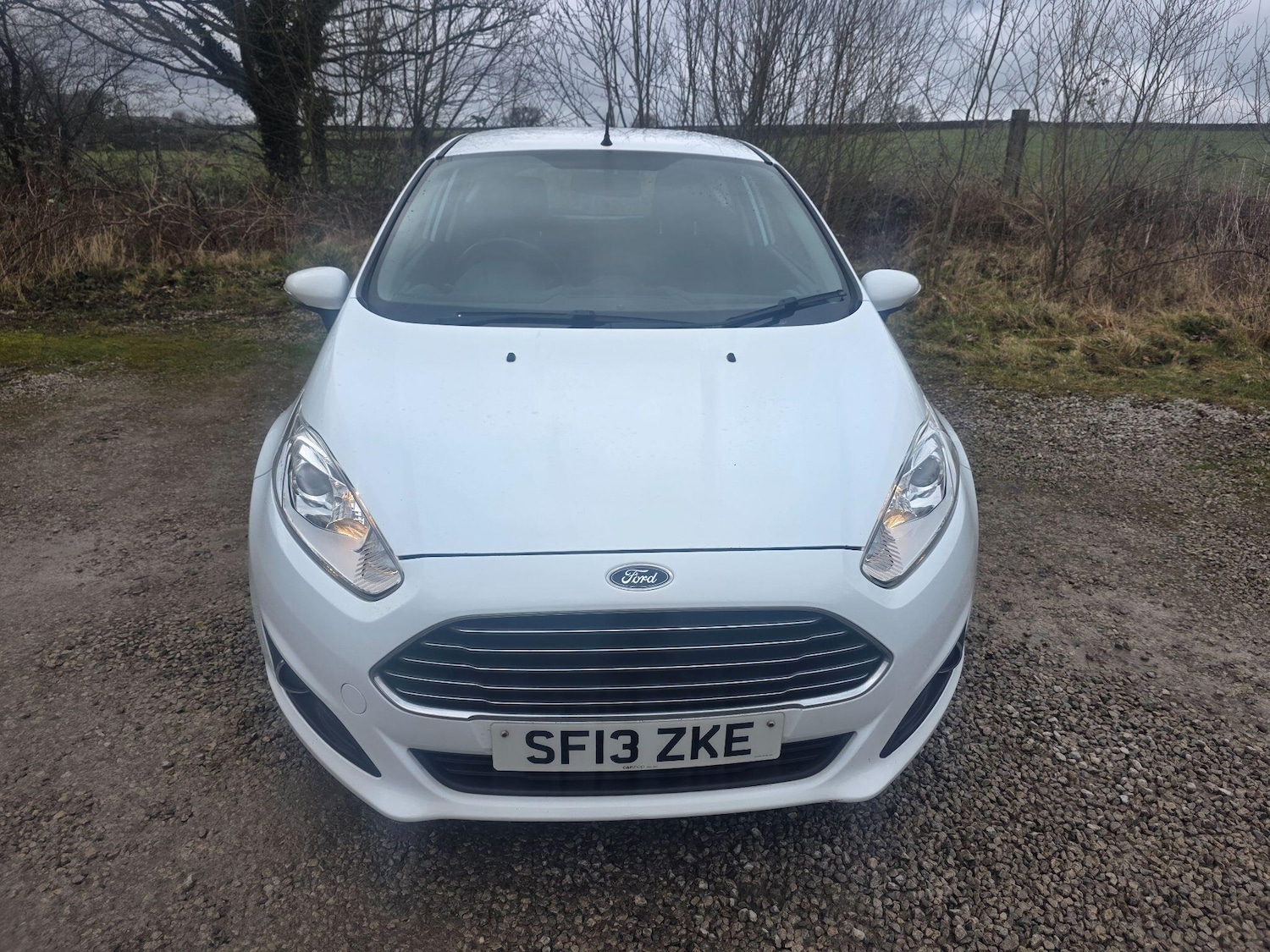 Used Ford Fiesta 2013 for sale - 77783305: Photo 2