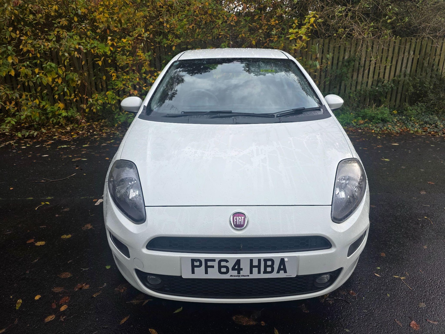 Used Fiat Punto 2014 for sale - 76441279: Photo 2