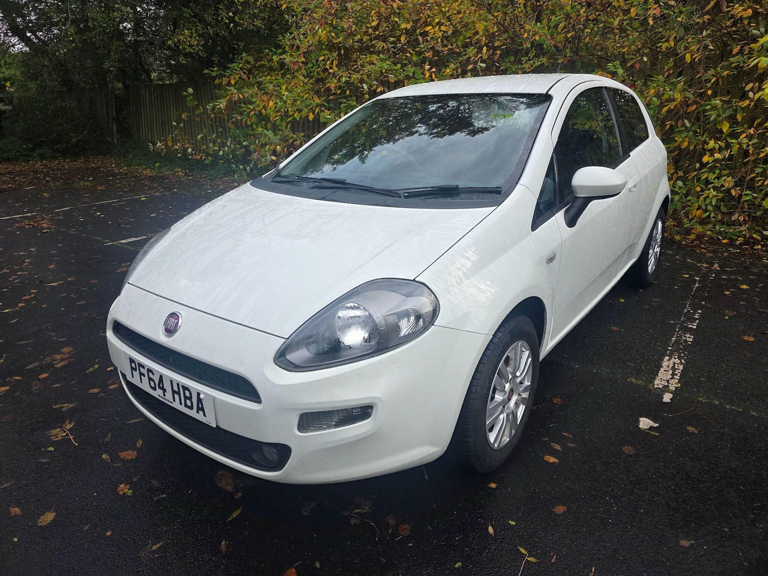 Used Fiat Punto 2014 for sale - 76441279: Photo 3