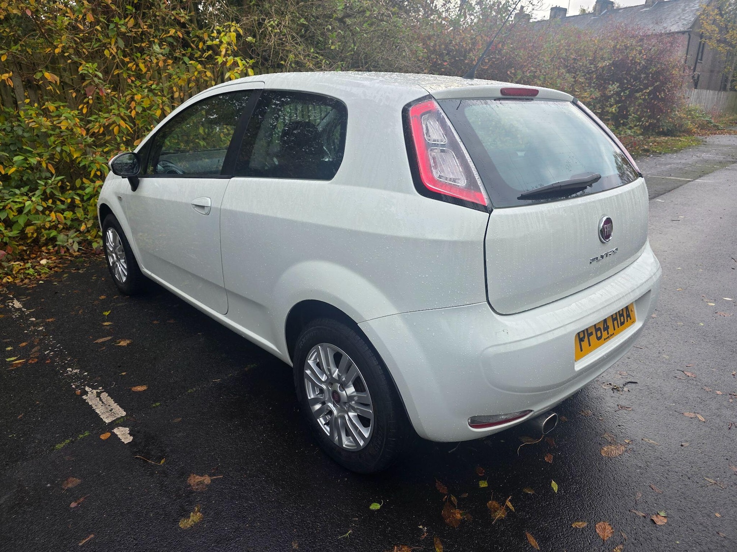 Used Fiat Punto 2014 for sale - 76441279: Photo 5