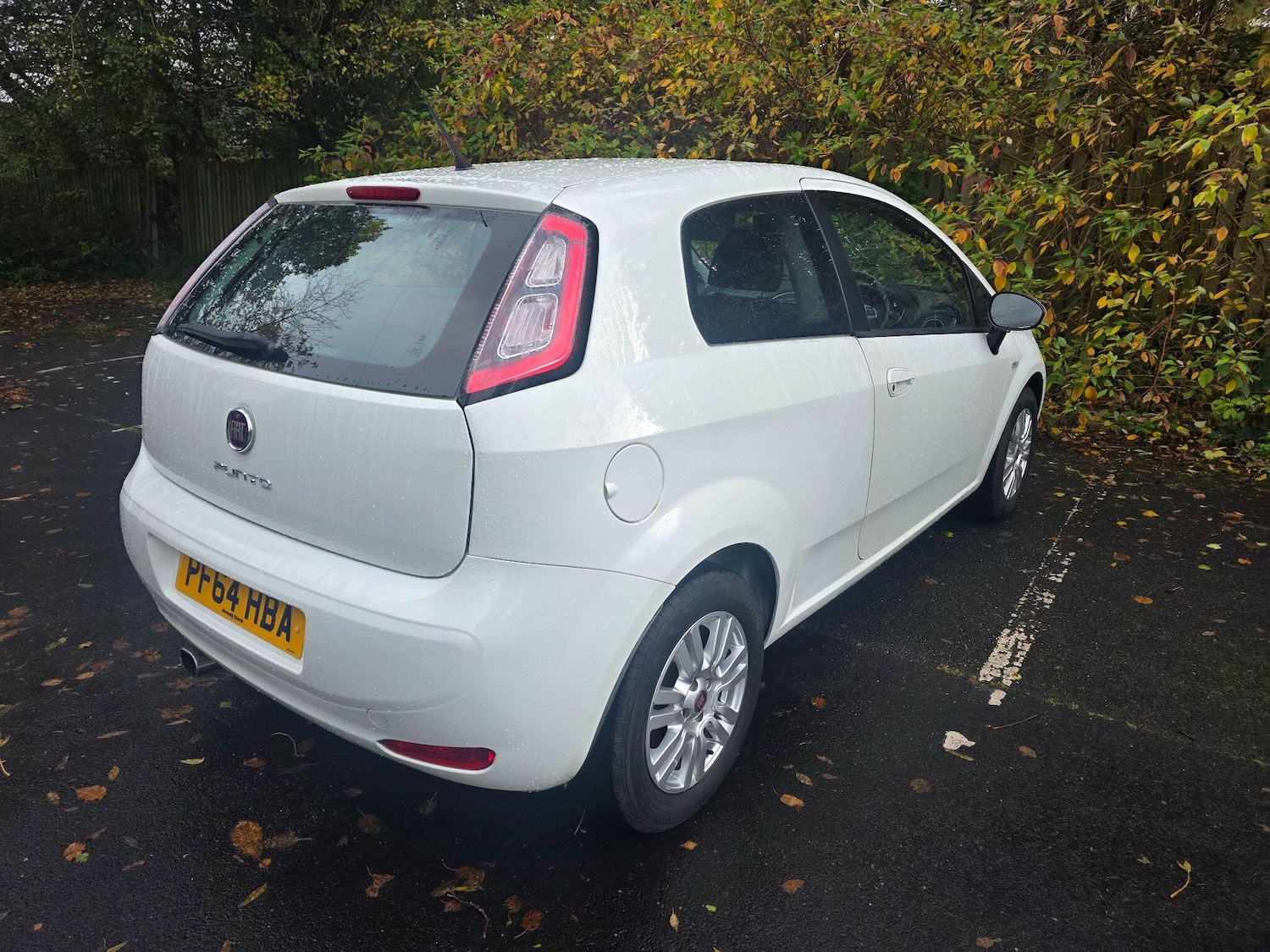 Used Fiat Punto 2014 for sale - 76441279: Photo 7