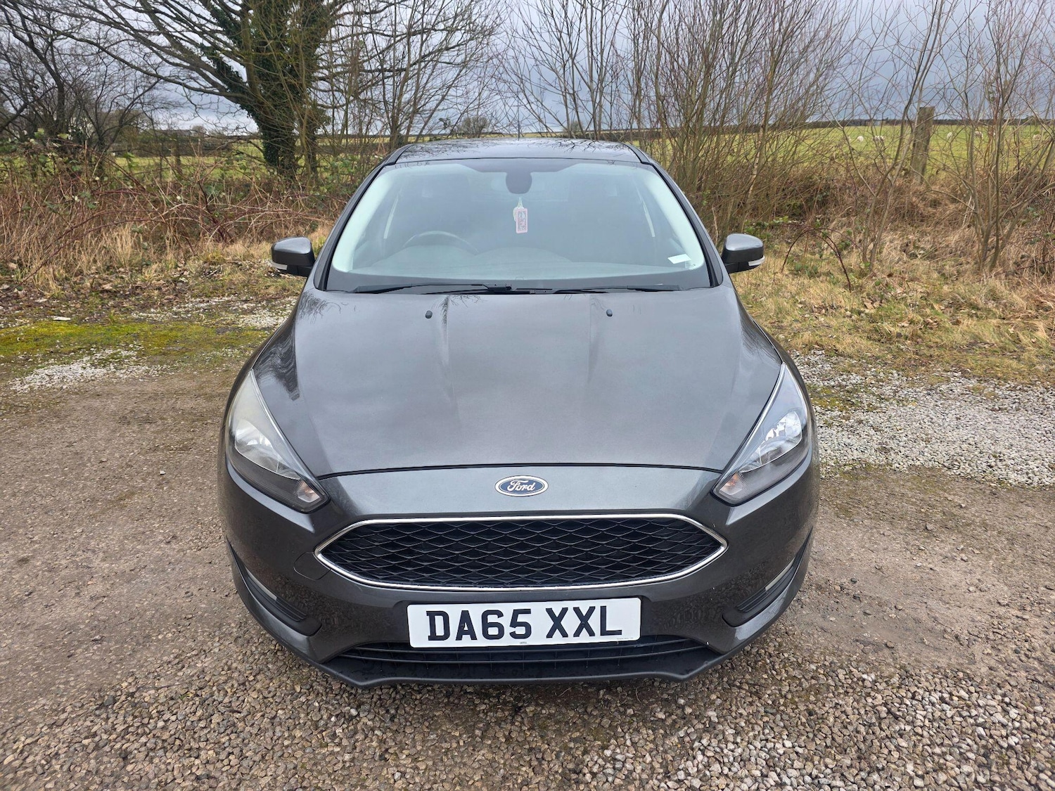 Used Ford Focus 2015 for sale - 77455966: Photo 2