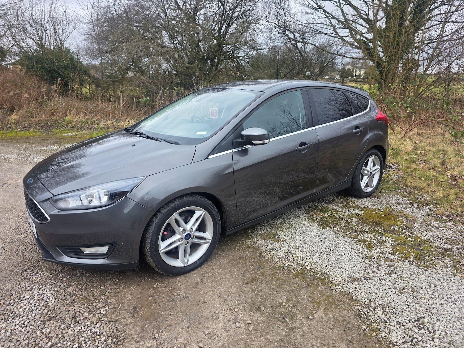 Used Ford Focus 2015 for sale - 77455966: Photo 4