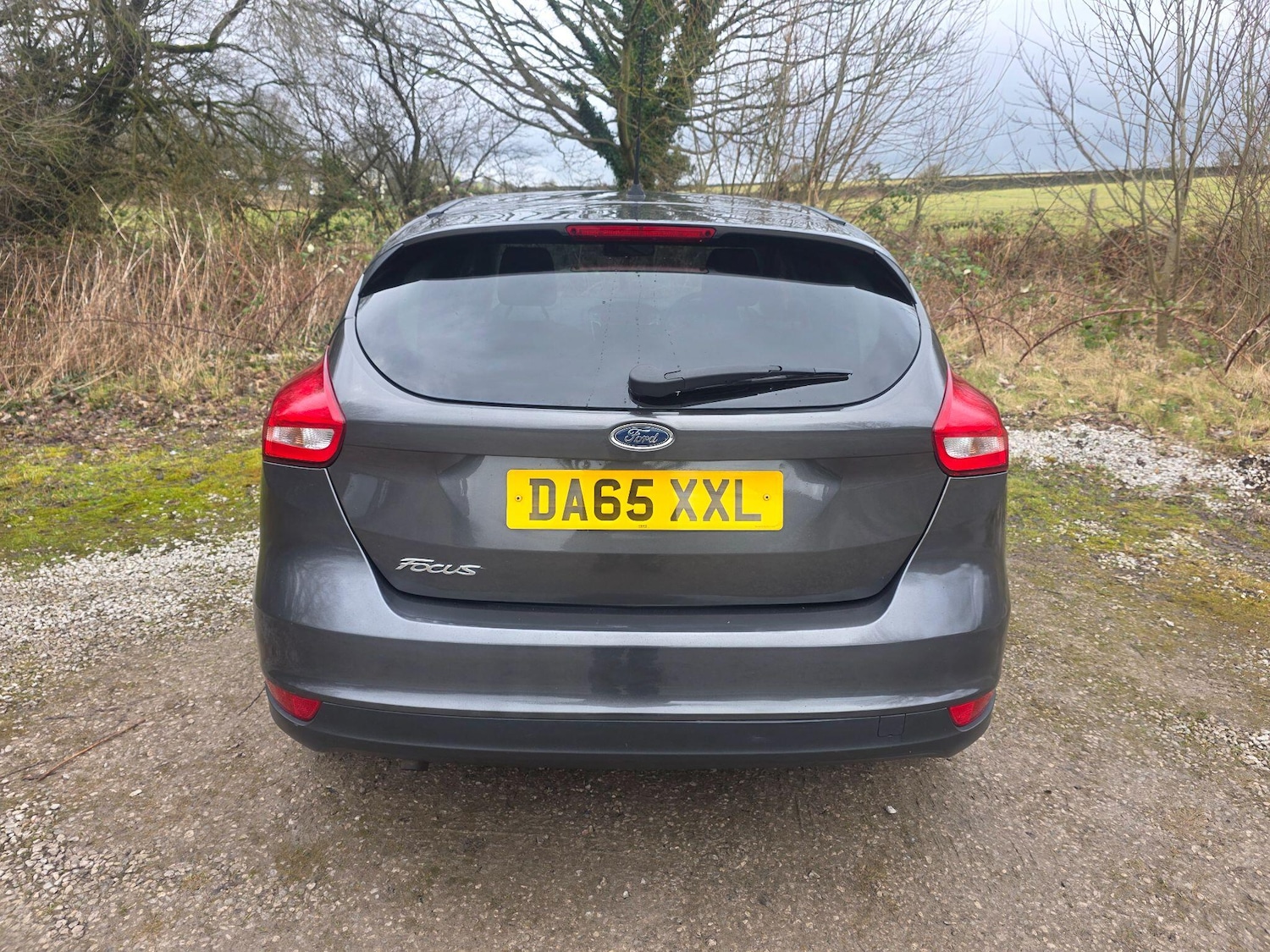 Used Ford Focus 2015 for sale - 77455966: Photo 6