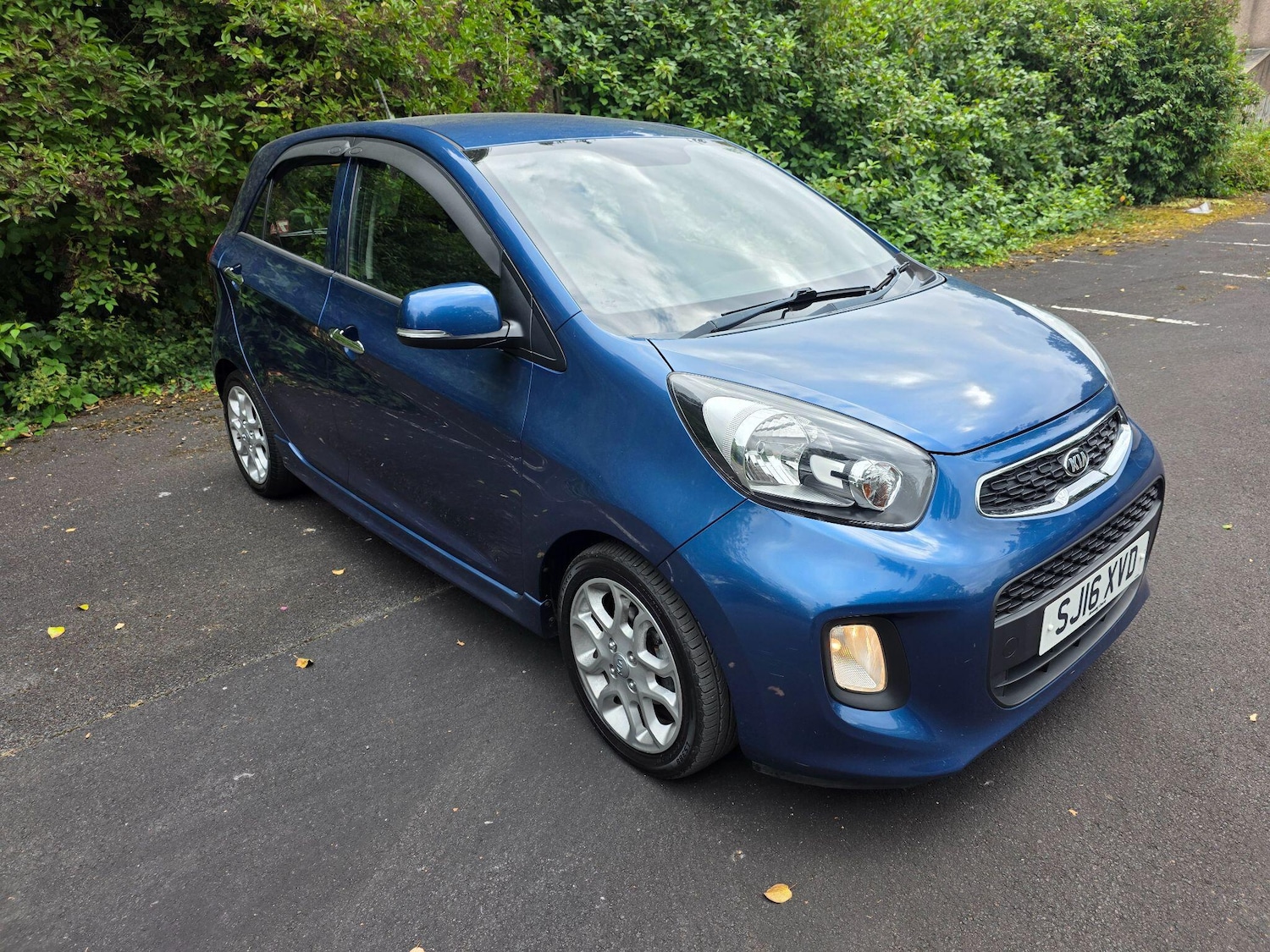 Used Kia Picanto 2016 for sale - 76122178: Photo 1