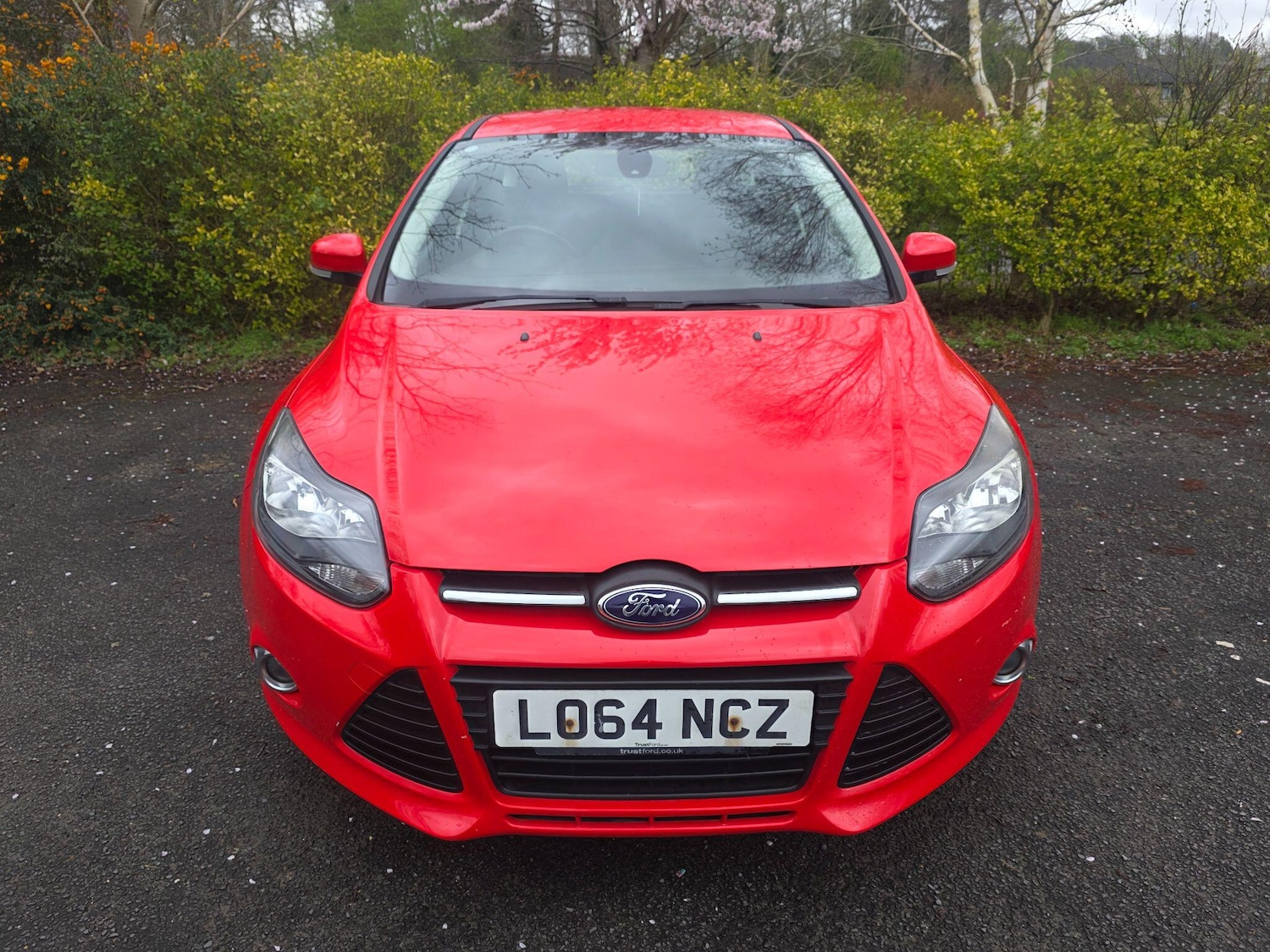 Used Ford Focus 2014 for sale - 78020242: Photo 2