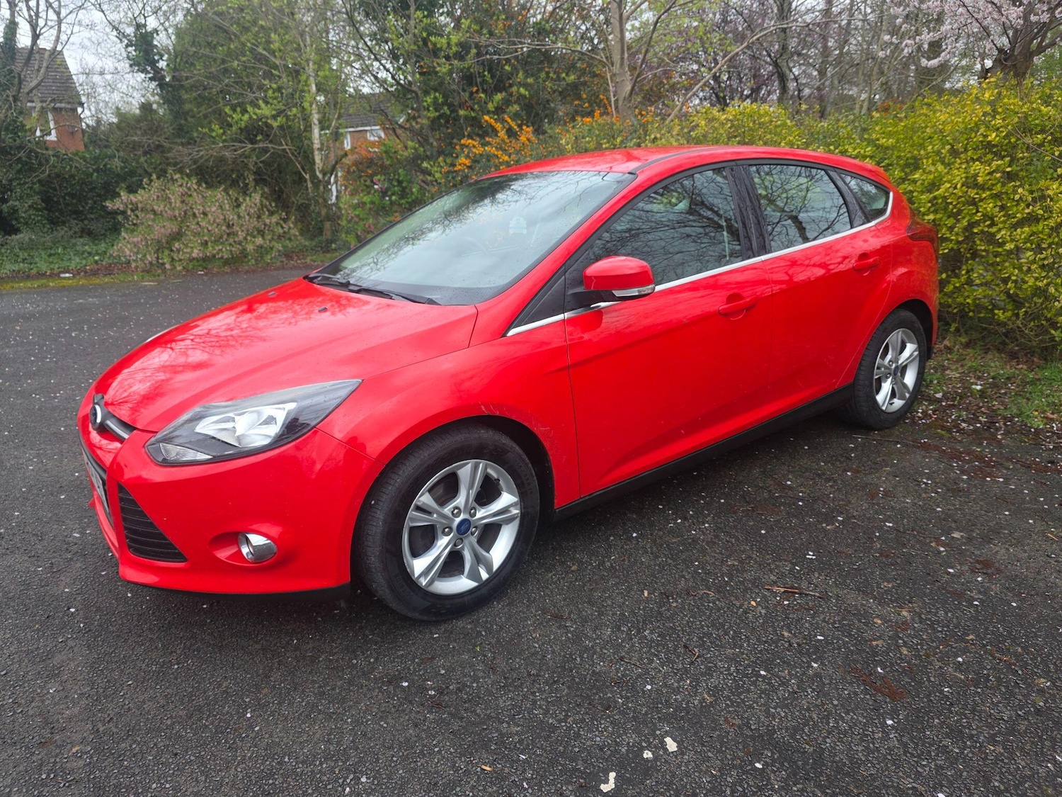 Used Ford Focus 2014 for sale - 78020242: Photo 4