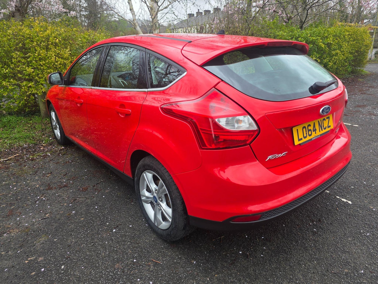 Used Ford Focus 2014 for sale - 78020242: Photo 5