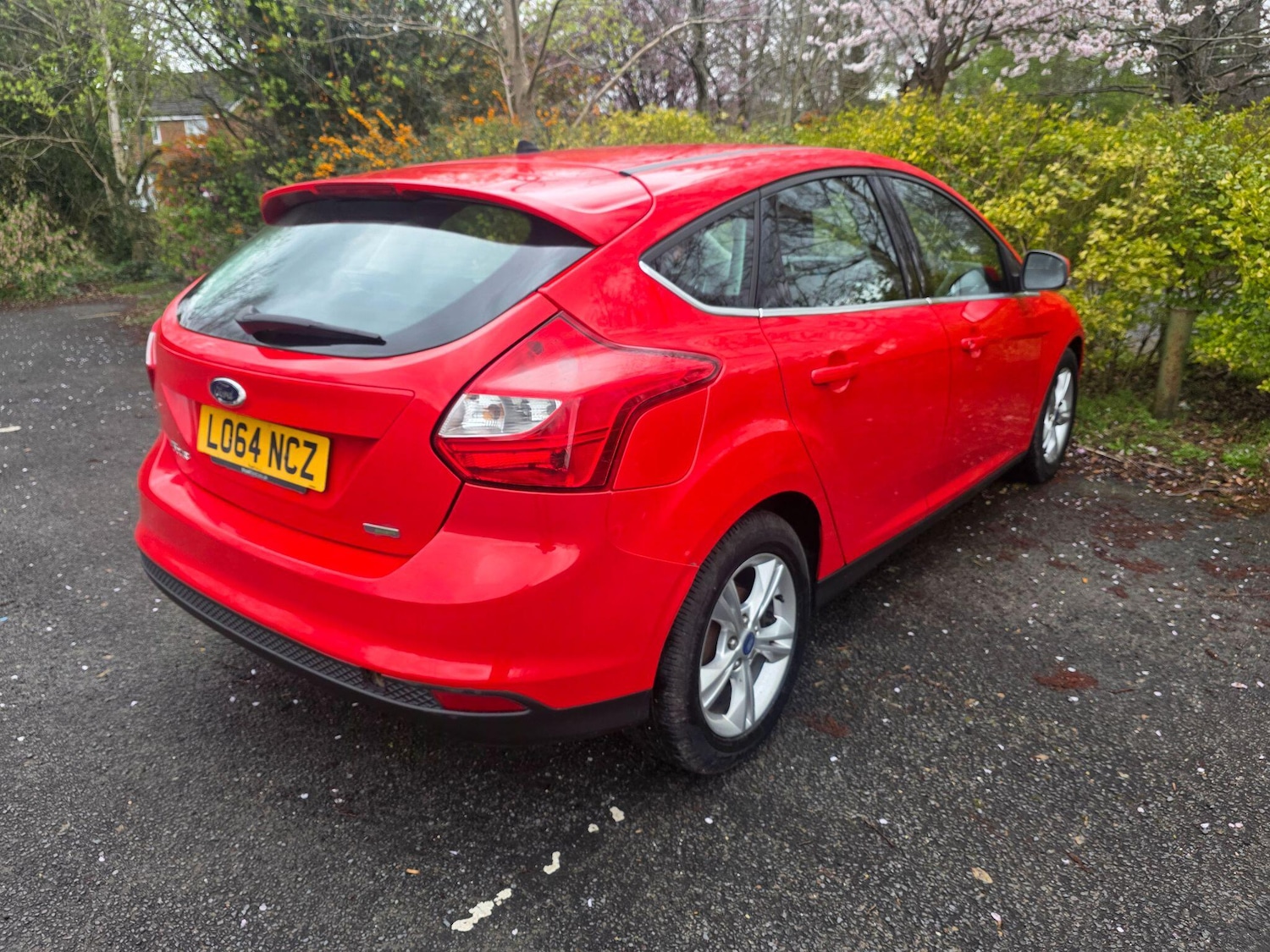 Used Ford Focus 2014 for sale - 78020242: Photo 7