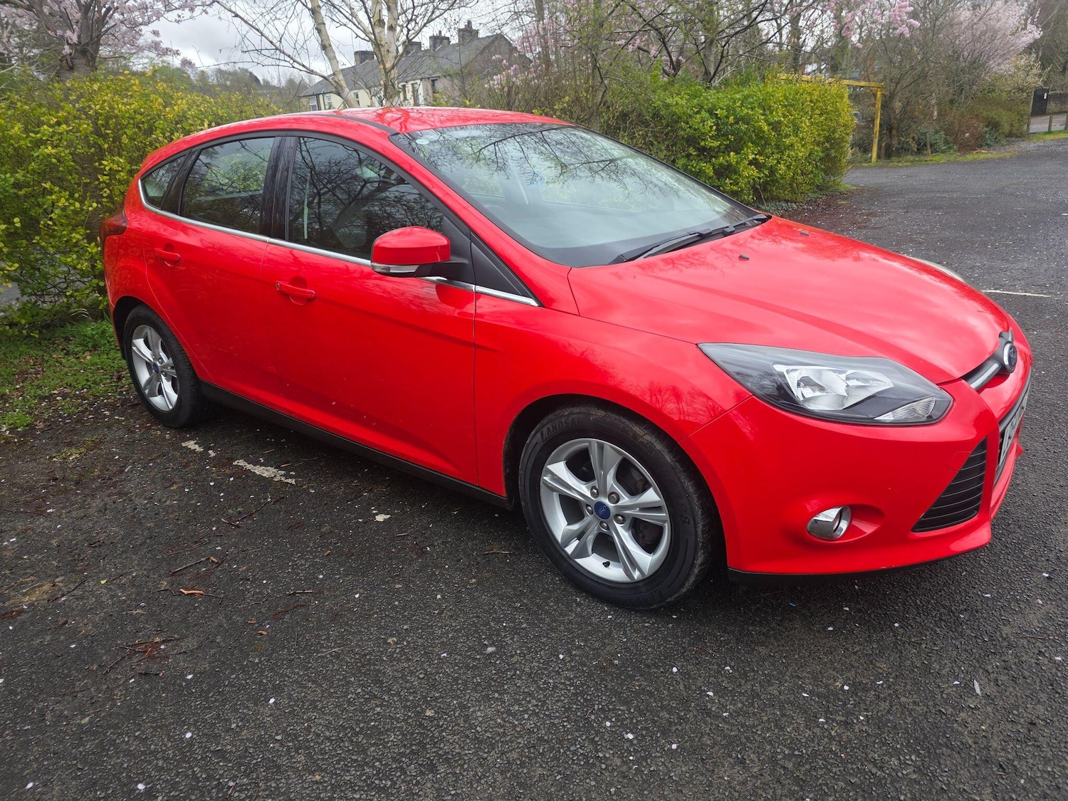 Used Ford Focus 2014 for sale - 78020242: Photo 8