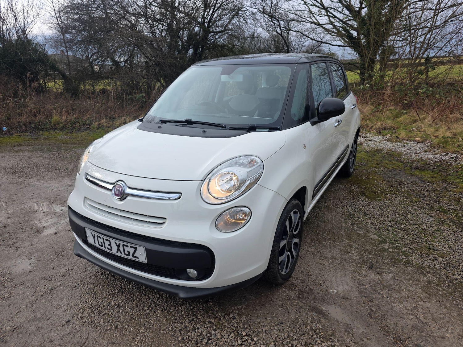 Used Fiat 500L 2013 for sale - 77387609: Photo 3
