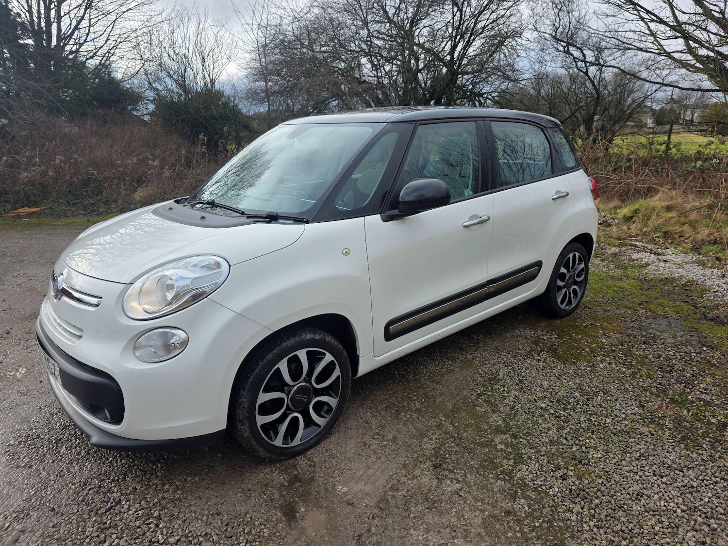 Used Fiat 500L 2013 for sale - 77387609: Photo 4