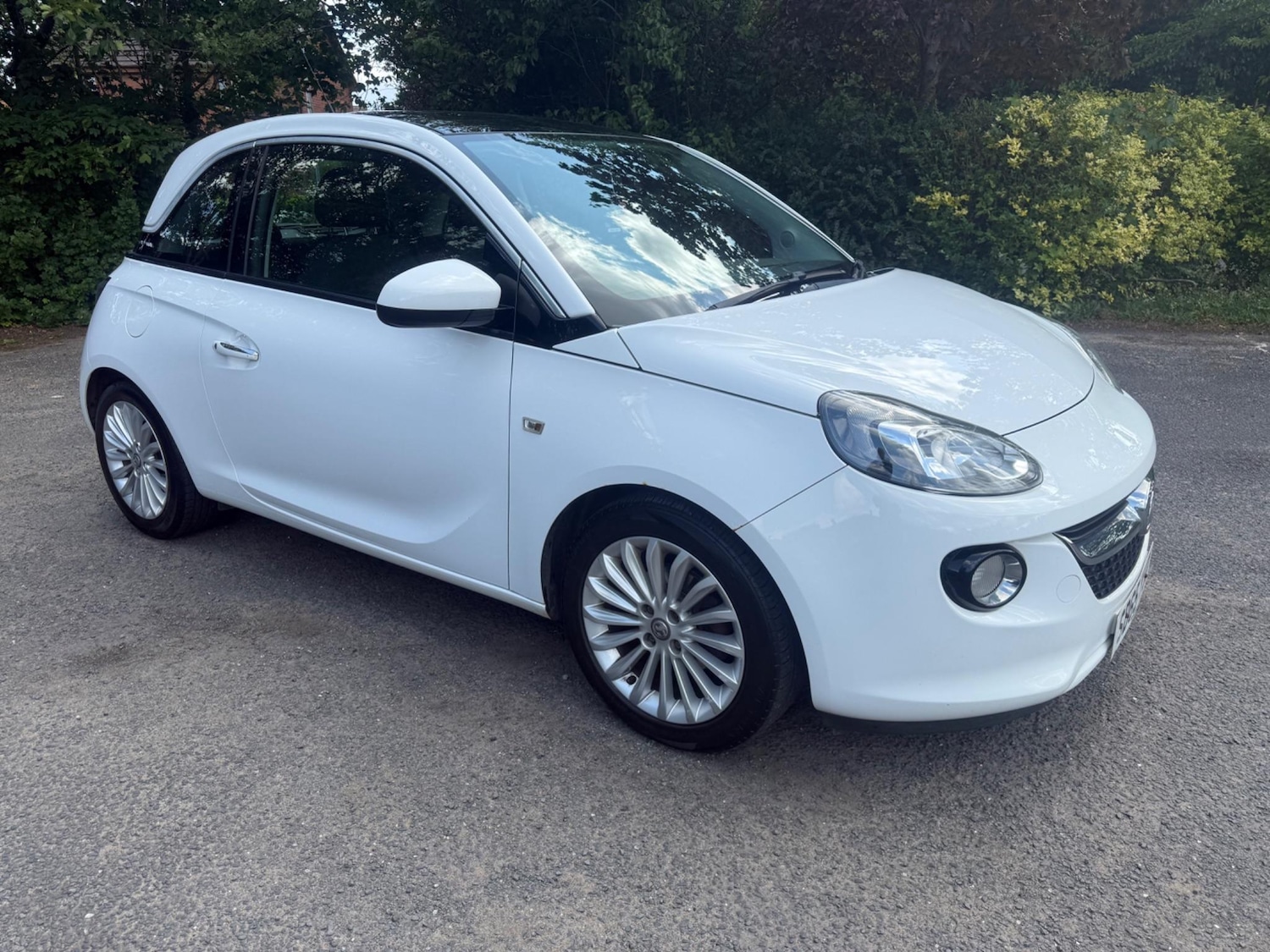 Vehicle 1