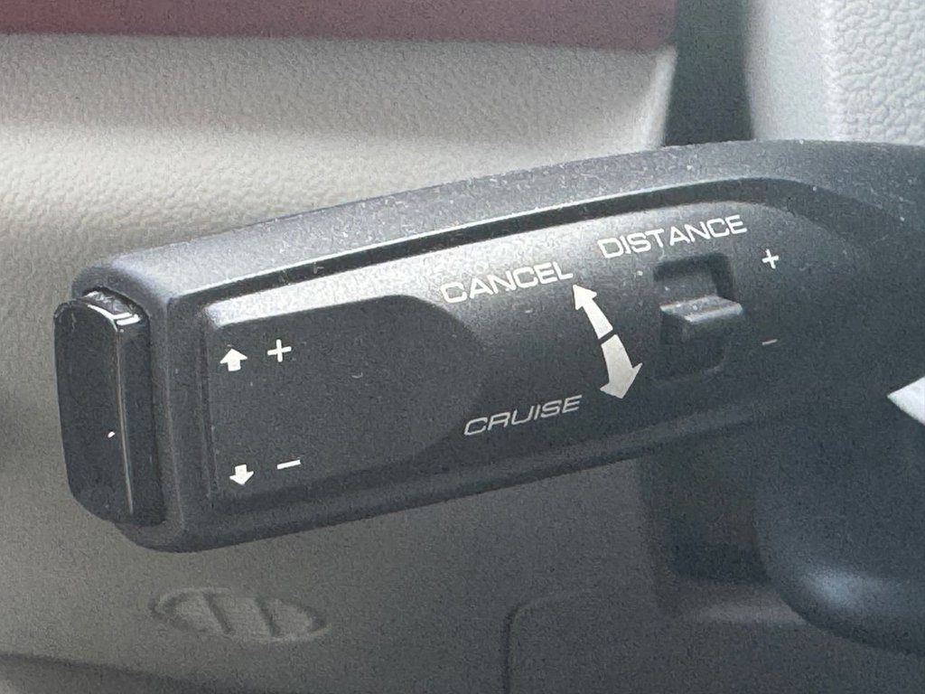 Used GWM Funky Cat 2023 for sale - 76740712: Photo 15