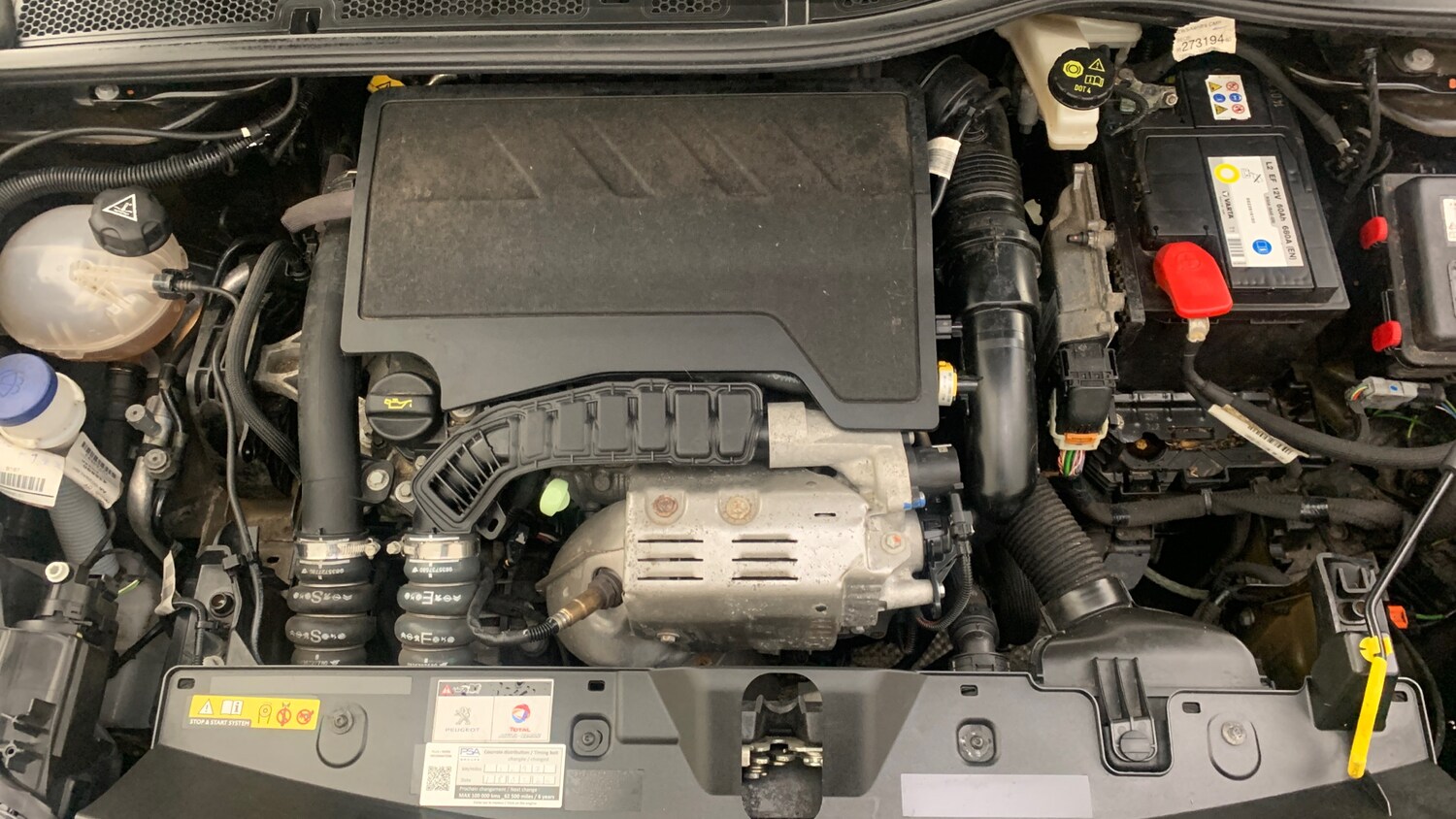 Used Peugeot 2008 2020 for sale - 77706042: Photo 23