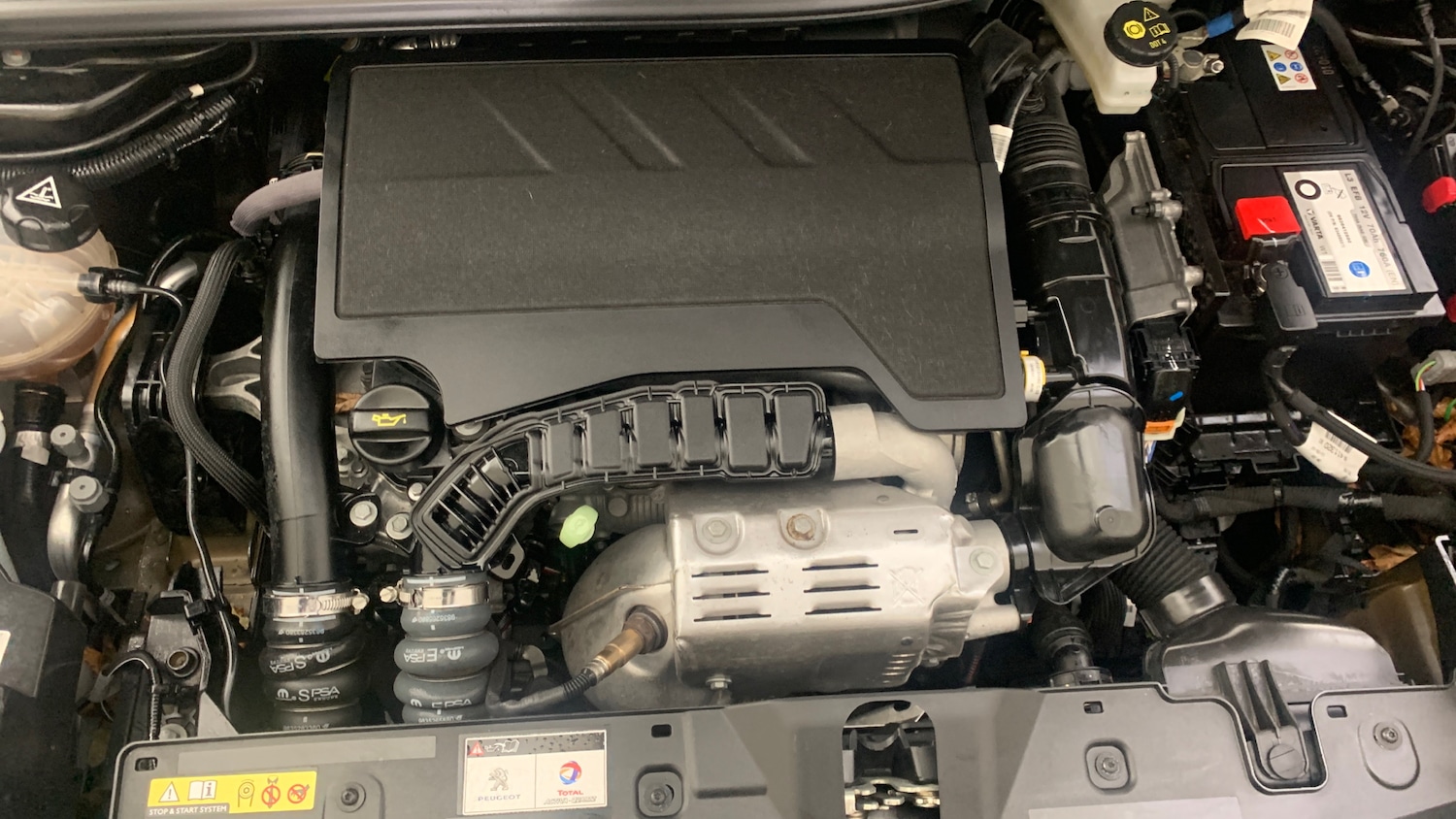 Used Peugeot 2008 2022 for sale - 76123542: Photo 21