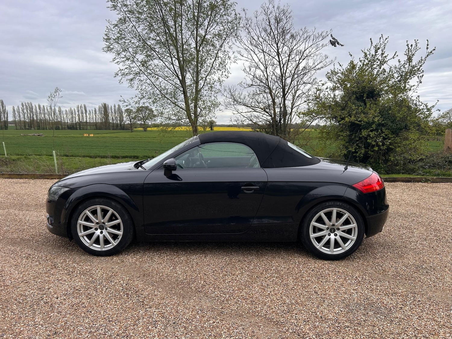Used Audi TT for sale - 78214815: Photo 20
