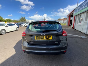 Used Ford Focus 2016 for sale - 78153777: Photo