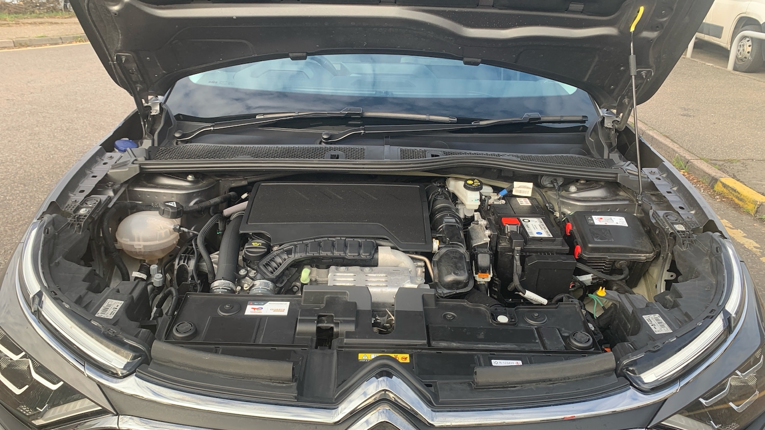 Used Citroen C4 2024 for sale - 76315633: Photo 18