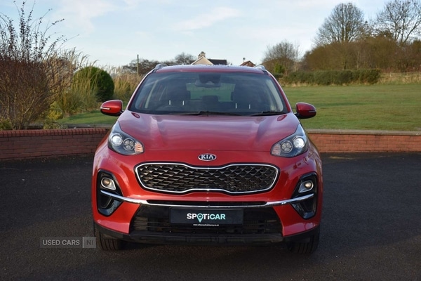 Used Kia Sportage 2019 for sale - 77560246: Photo 8