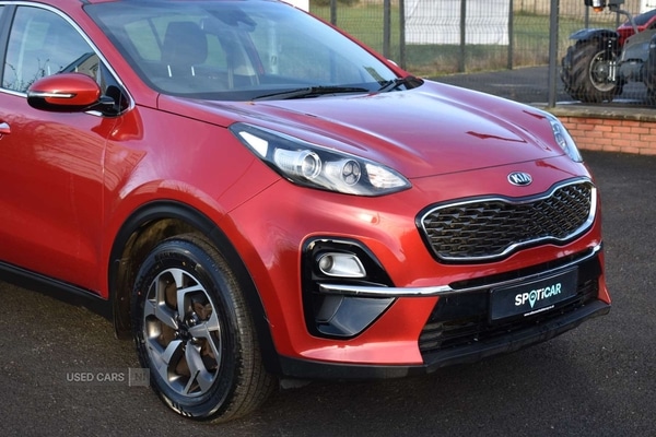 Used Kia Sportage 2019 for sale - 77560246: Photo 9