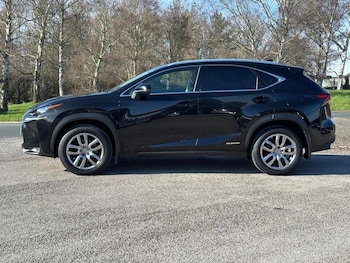 Used Lexus NX 2015 for sale - 77718697: Photo