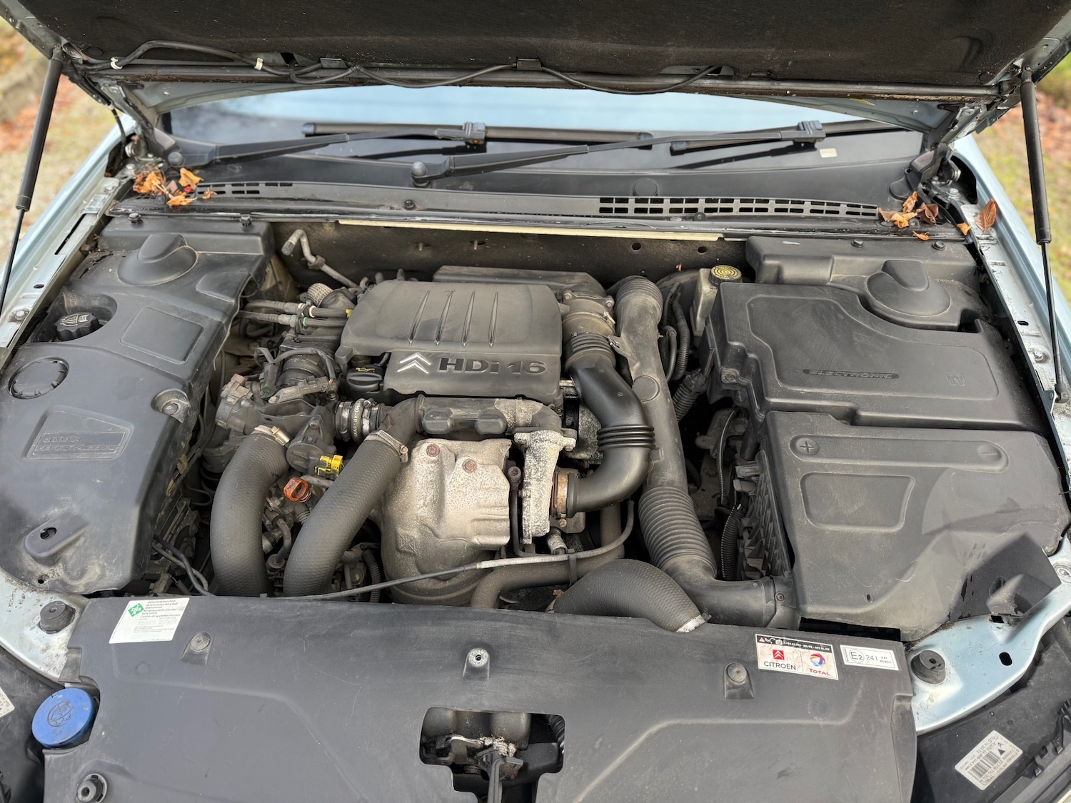 Used Citroen C5 2005 for sale - 76627221: Photo 16