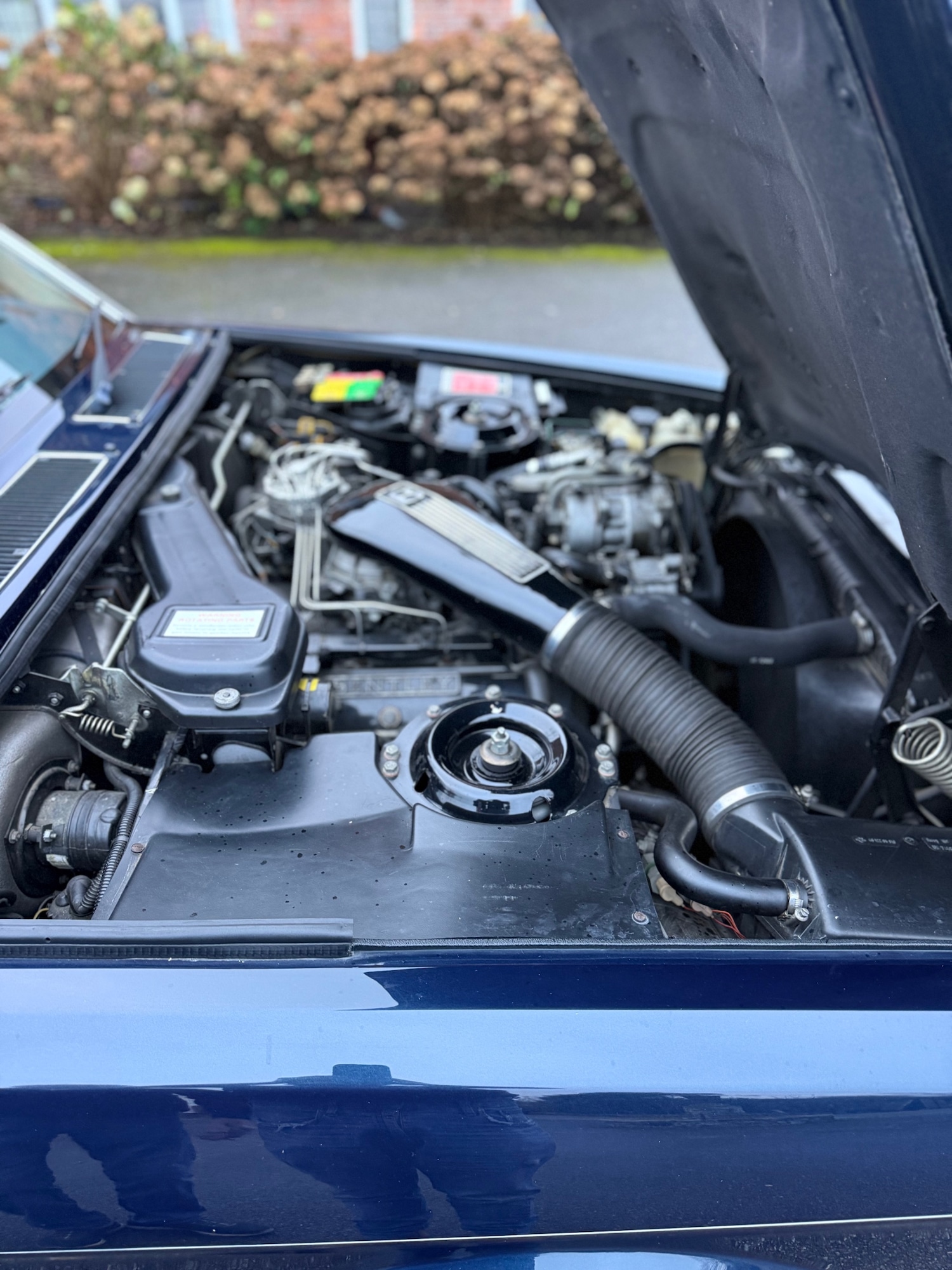 Used Bentley Brooklands 1993 for sale - 76906399: Photo 23