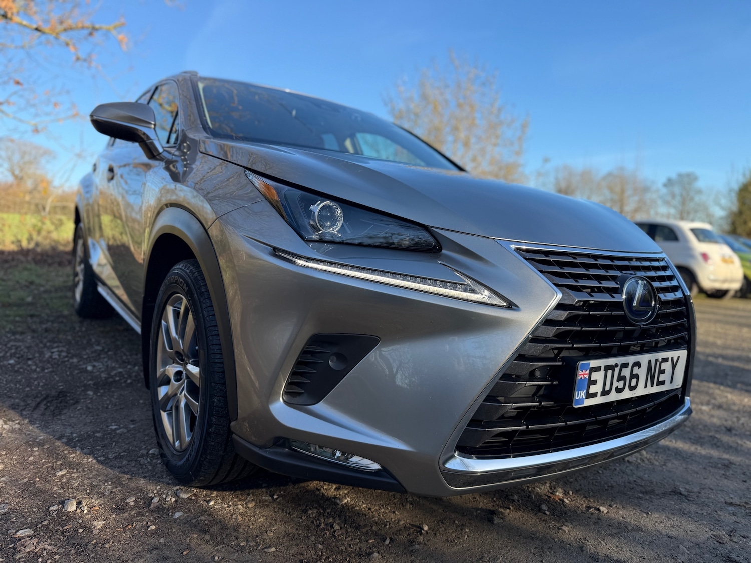 Used Lexus NX 2019 for sale - 76706319: Photo 1