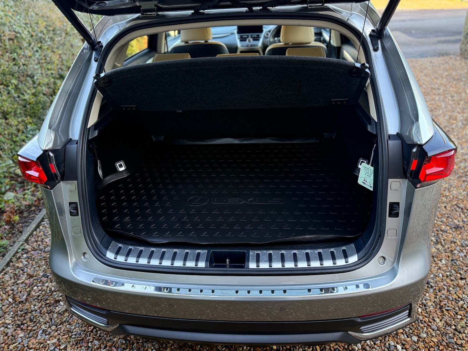 Used Lexus NX 2019 for sale - 76706319: Photo 16