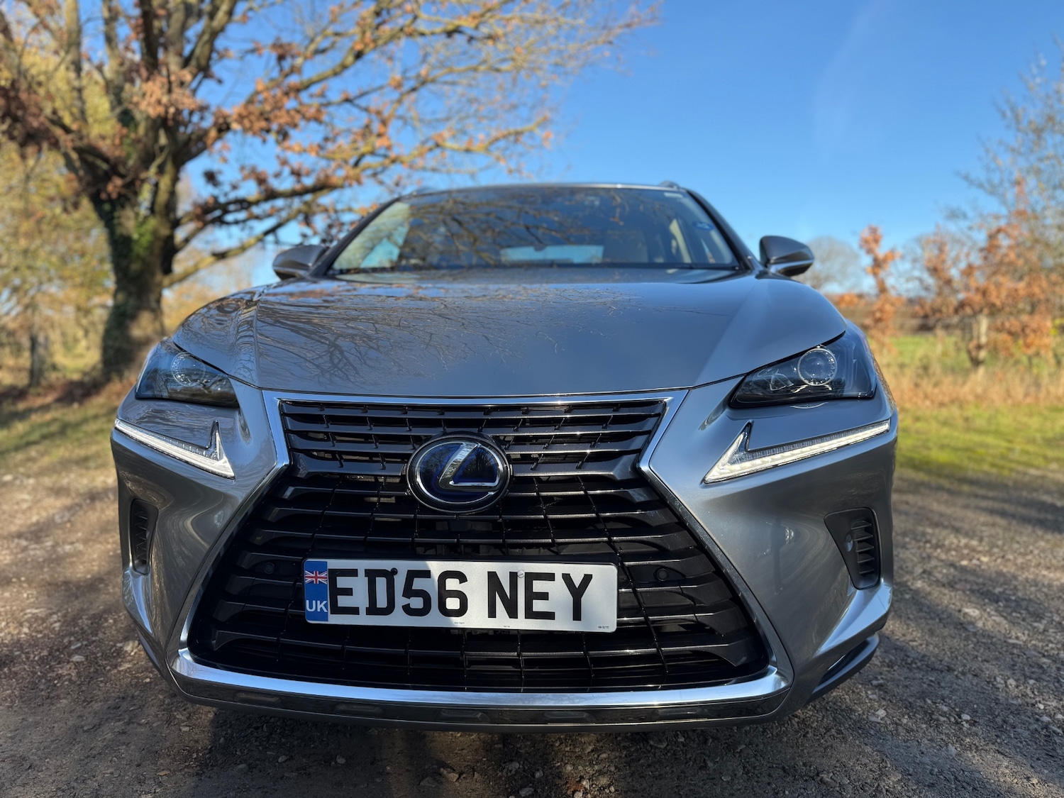 Used Lexus NX 2019 for sale - 76706319: Photo 2