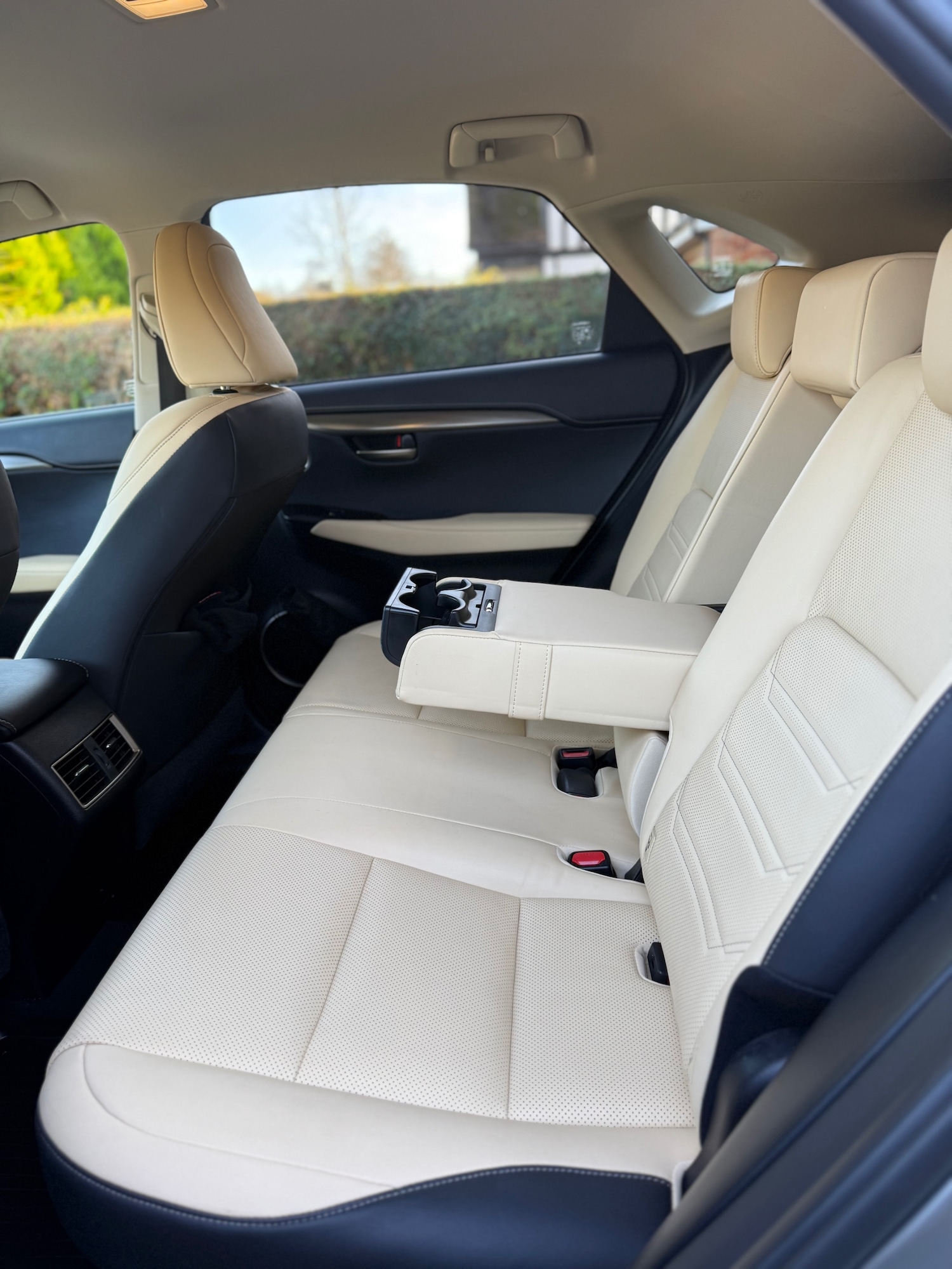 Used Lexus NX 2019 for sale - 76706319: Photo 21