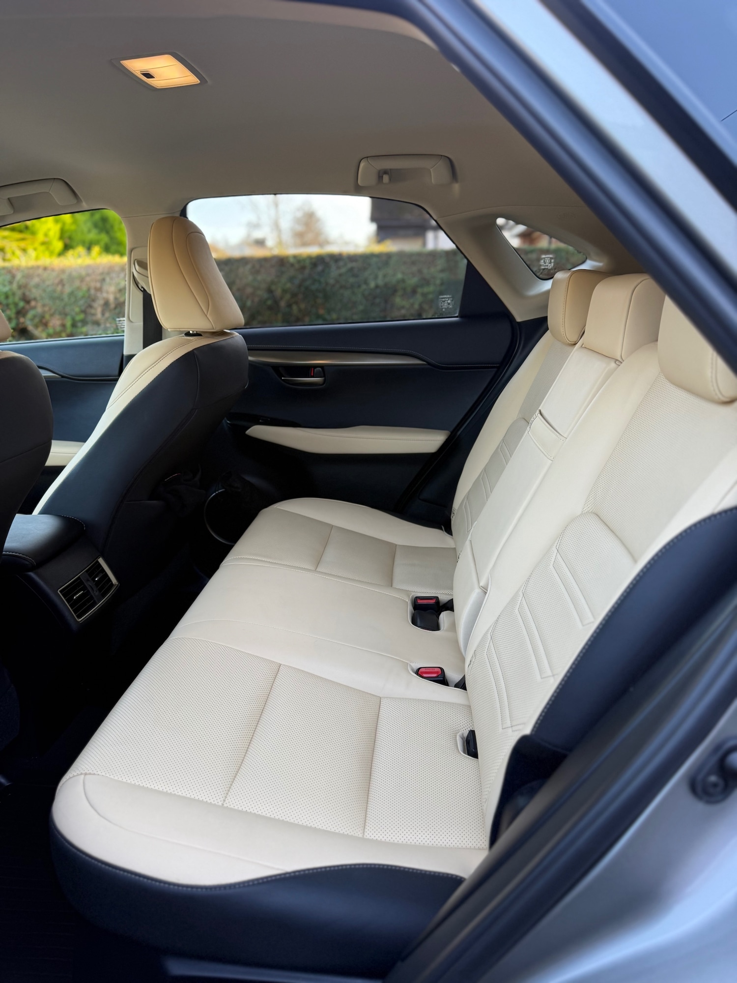 Used Lexus NX 2019 for sale - 76706319: Photo 23