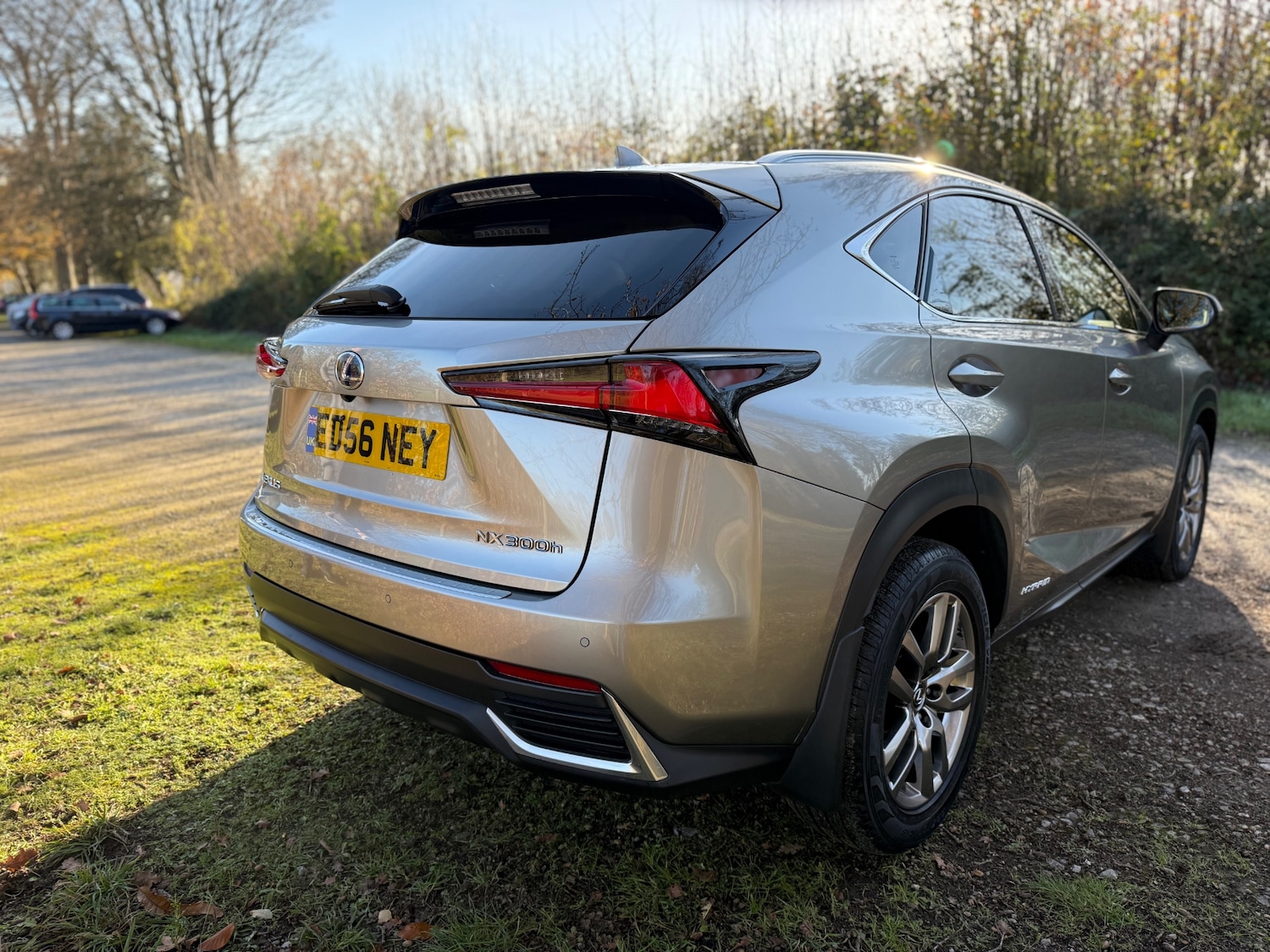 Used Lexus NX 2019 for sale - 76706319: Photo 3