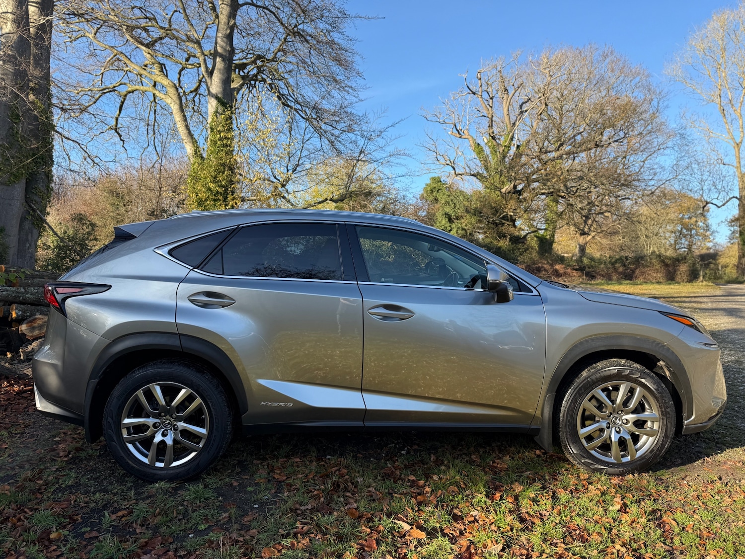 Used Lexus NX 2019 for sale - 76706319: Photo 31